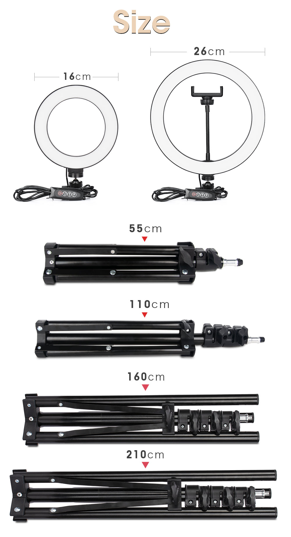 Adult Content Creators Light With Tripod