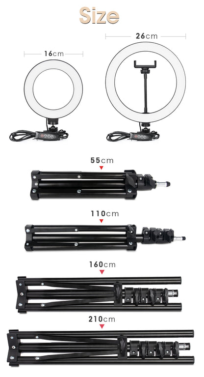 Adult Content Creators Light With Tripod