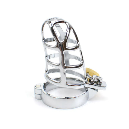 Secure Lock for Erotic Fun