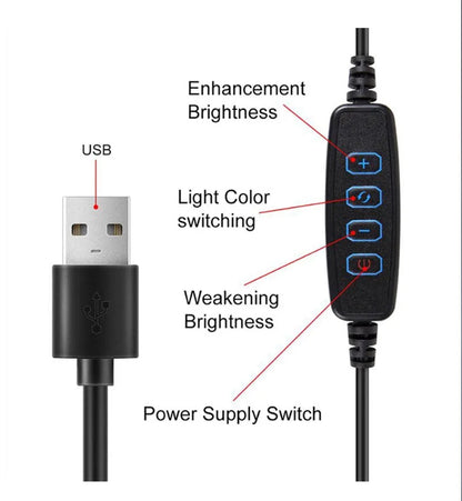 Webcam & Live Streaming Light