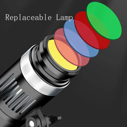 Daylight-Balanced LED Fill Light