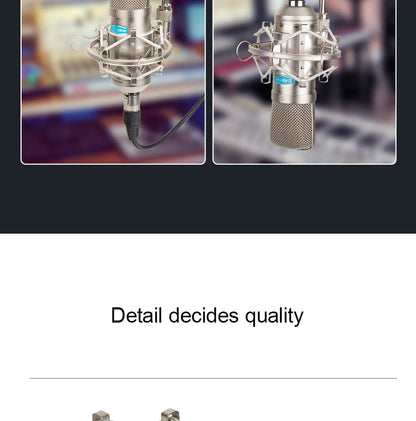 Gold-Plated Professional Mic
