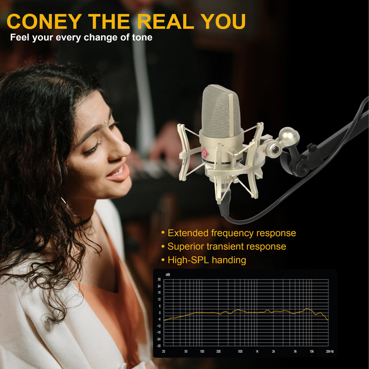 Professional Audio Recording Microphone