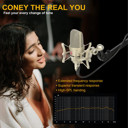 Professional Audio Recording Microphone