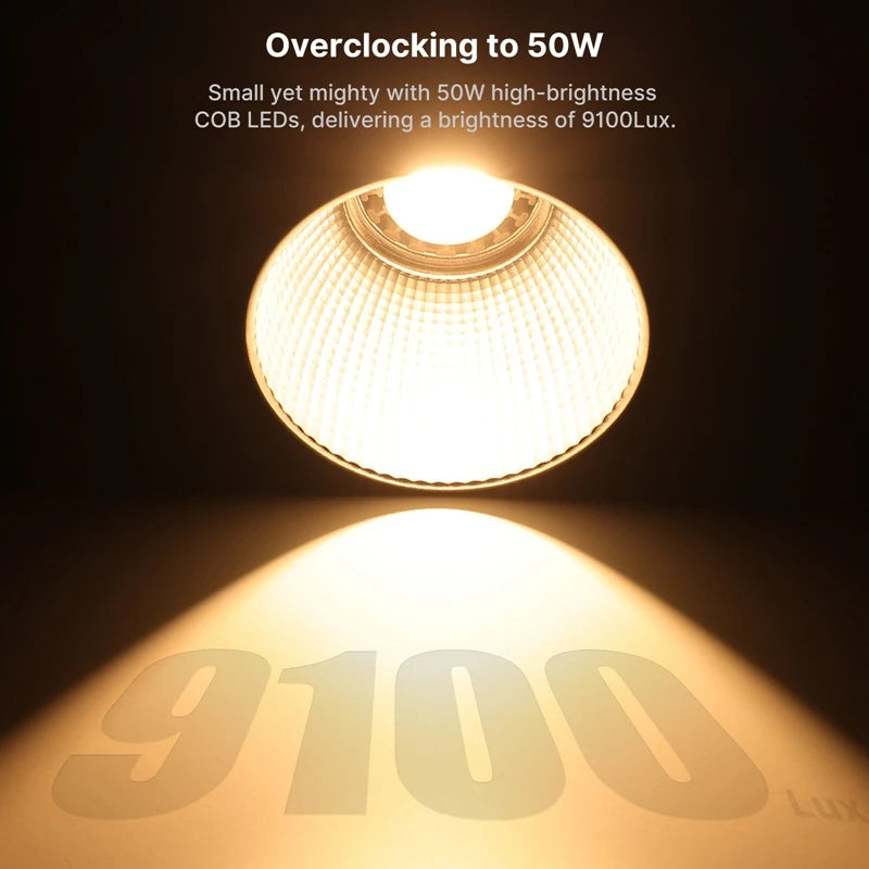 Creators Strobe Lighting