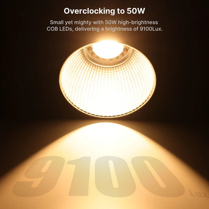 Creators Strobe Lighting