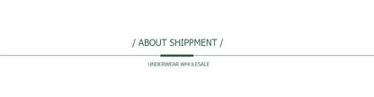 Lace Thongs M-XL Low Waist Lingerie Panties