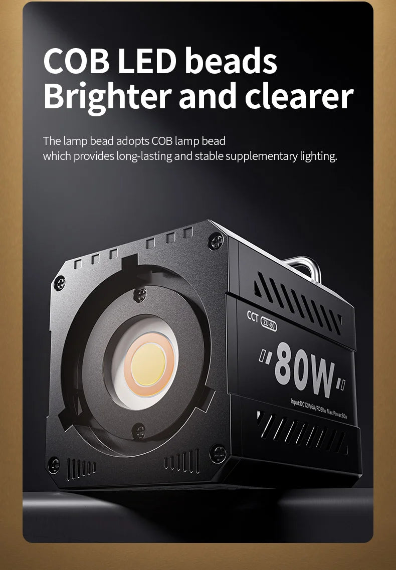 Professional 80W COB LED Light