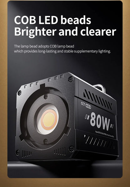 Professional 80W COB LED Light