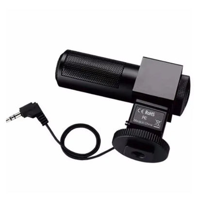 Professional Mic for Live Shows