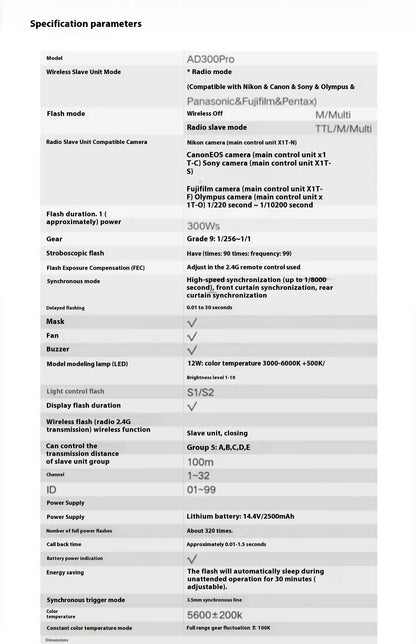 Daylight 5600K Studio Flash