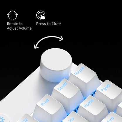 Ultra-Low Latency Keyboard