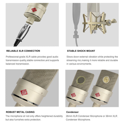 Professional Audio Recording Microphone