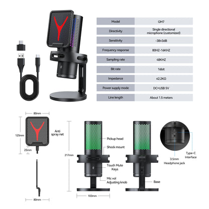 Professional Studio Mic Kit