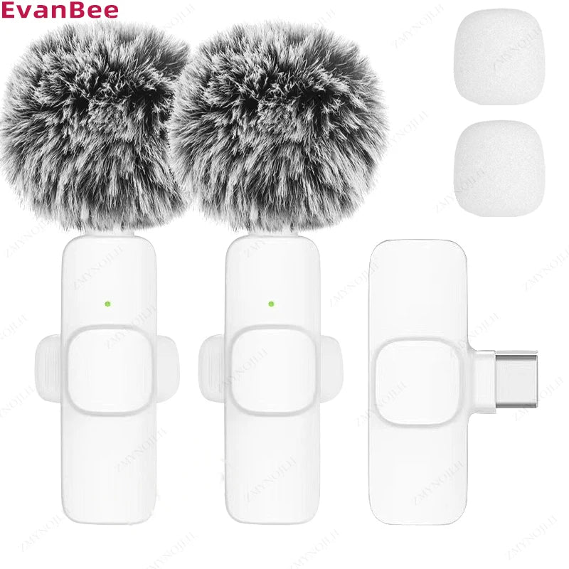 Professional Wireless Lapel Mic