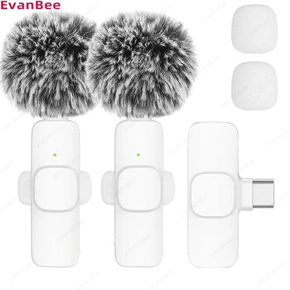 Professional Wireless Lapel Mic