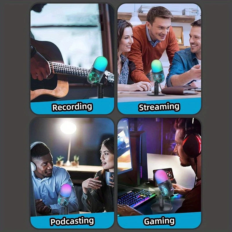 Pro Noise-Cancelling Mic