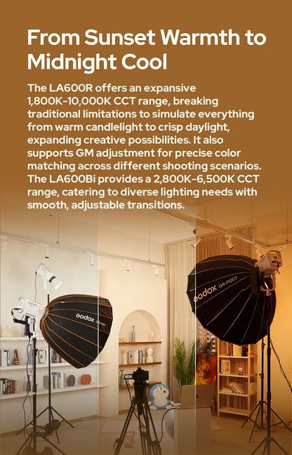 Professional Photographic COB Light