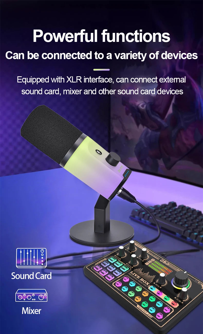 Webcam Performers Mic