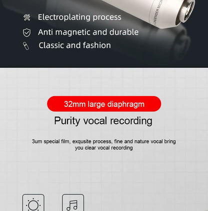 Gold-Plated Professional Mic
