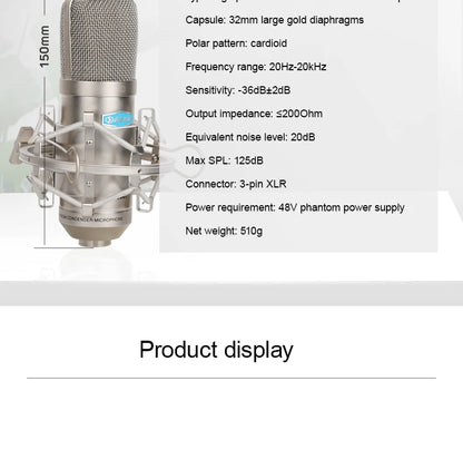 Gold-Plated Professional Mic