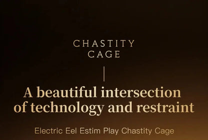 Smart App Controlled Chastity Cage