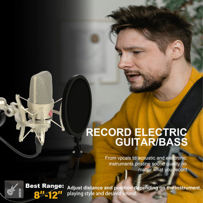 Professional Audio Recording Microphone