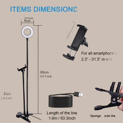 Modern Style Dual LED Broadcasts Light