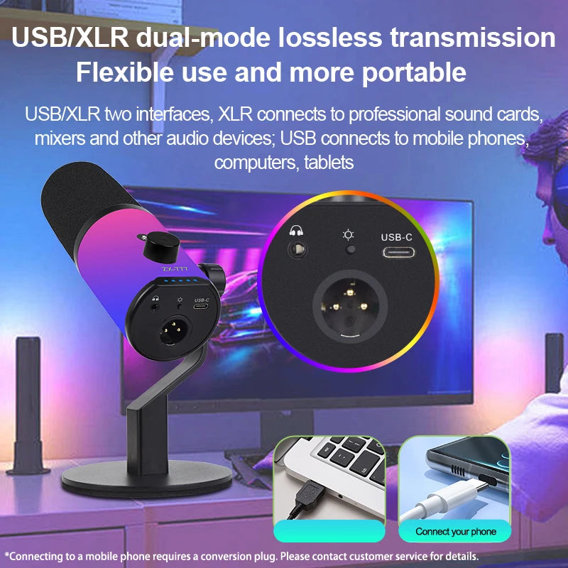 Webcam Performers Mic