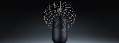 Webcam Talent & Streamers Mic