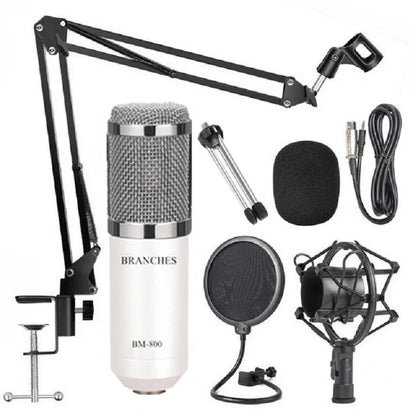 Pro Streaming USB Mic