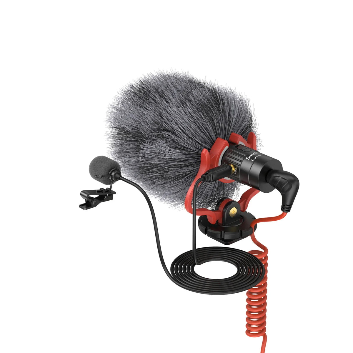 On-Camera Mic