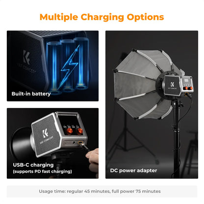 2 Light Effects COB Video Light