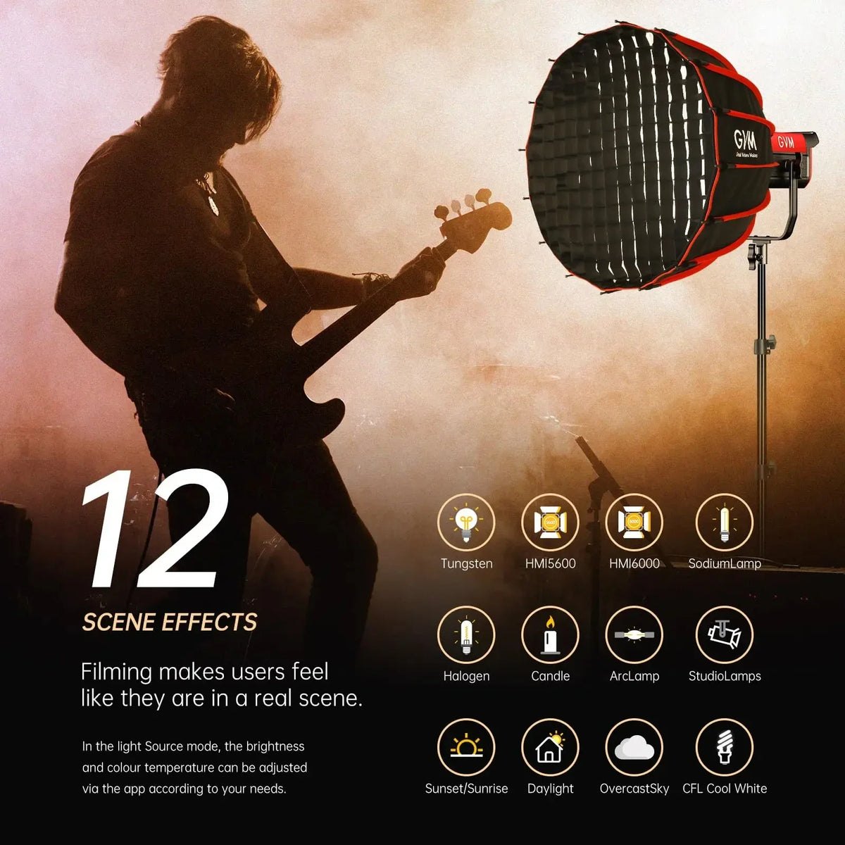Ultra Bright 300W LED for Live Models