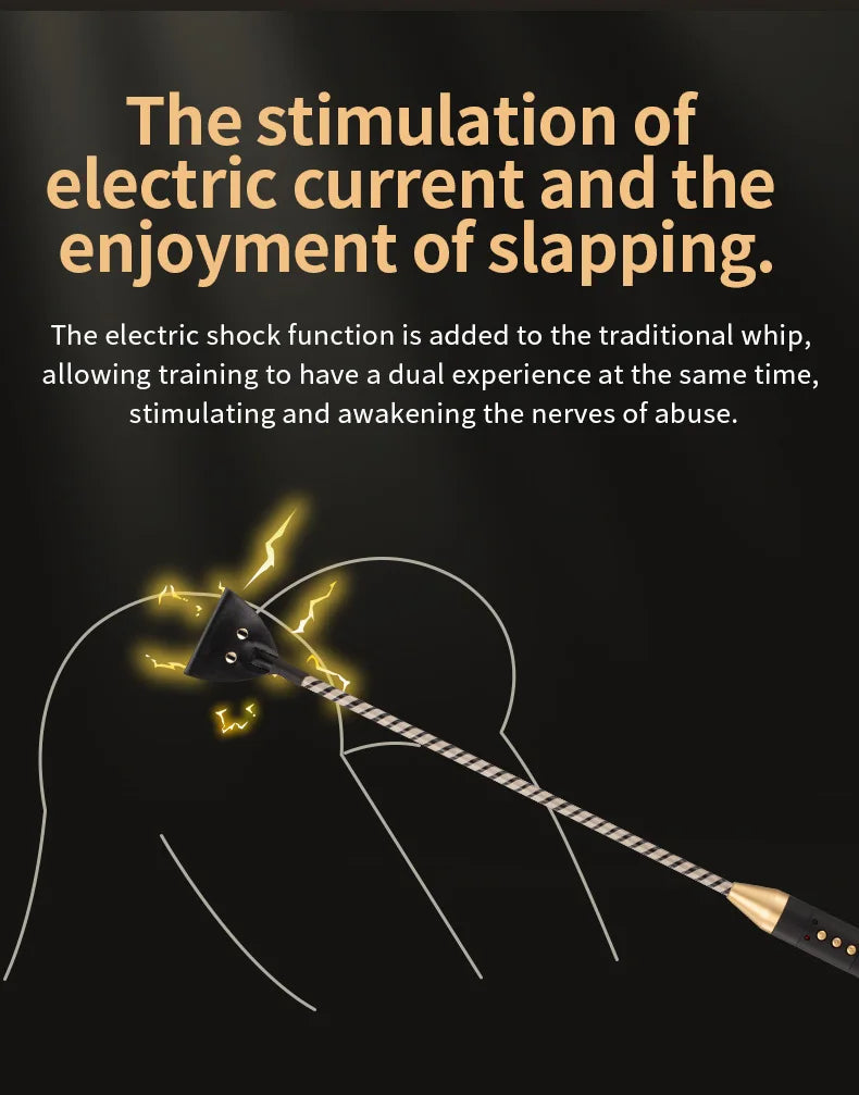 Electric shock training series, Pulse Horse Whip, Electro Spanking Paddle, Spanking Stick Bat, BDSM, Sex Games, Adult Sex Toys