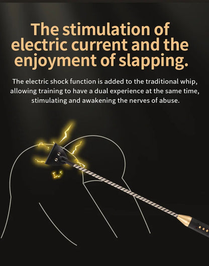 Electric shock training series, Pulse Horse Whip, Electro Spanking Paddle, Spanking Stick Bat, BDSM, Sex Games, Adult Sex Toys
