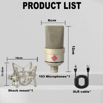 Professional Audio Recording Microphone