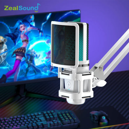 Flexible Boom Arm Mic