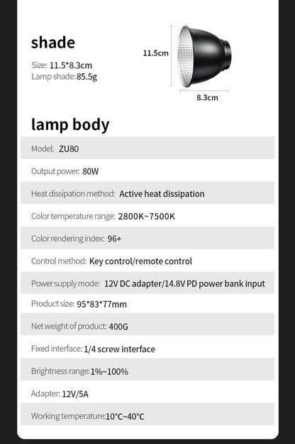 Professional 80W COB LED Light