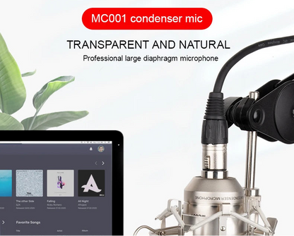 Gold-Plated Professional Mic