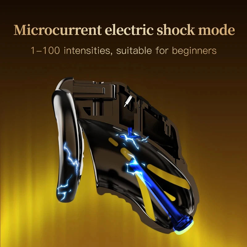 Smart App Controlled Chastity Cage