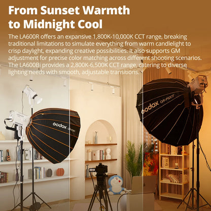 Professional Photographic COB Light
