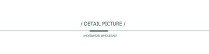 Cotton Briefs Lady 5 PCS/SET Lace Panty Underpants Seamless Panties For Women Lingerie