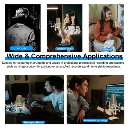 Professional Audio Recording Microphone