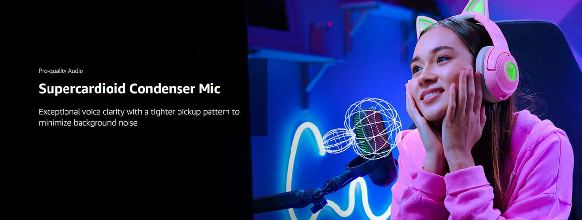 Clean Voice for Streamers