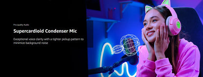 Clean Voice for Streamers