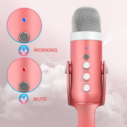 Flexible Studio Recording Kit