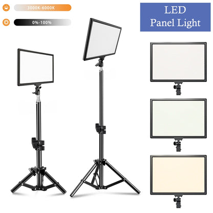 UltraSoft 14" Creator LED Panel + Stand