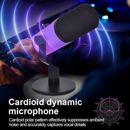 Webcam Performers Mic