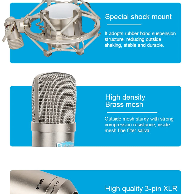 Gold-Plated Professional Mic